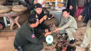 WRRT rescue live pangolin & confiscate bear parts