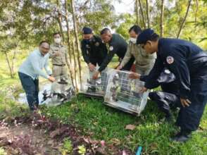 Releasing birds rescued from online trader