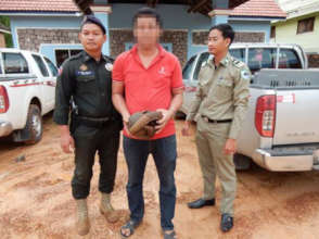 Pangolin rescued from wildlife trader