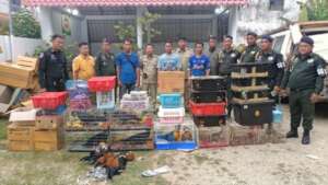 300+ animals local authorities found in minivan