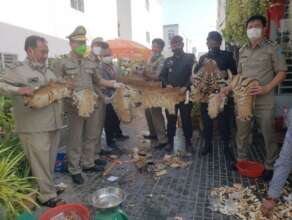 Wildlife parts seized from major trader, Mar. '22