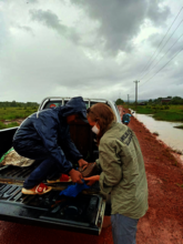 Pangolin being handed to Release Station staff