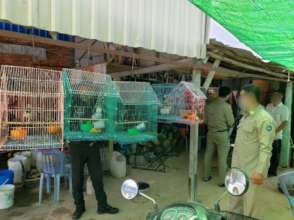 Inspecting birds at Facebook trader's house