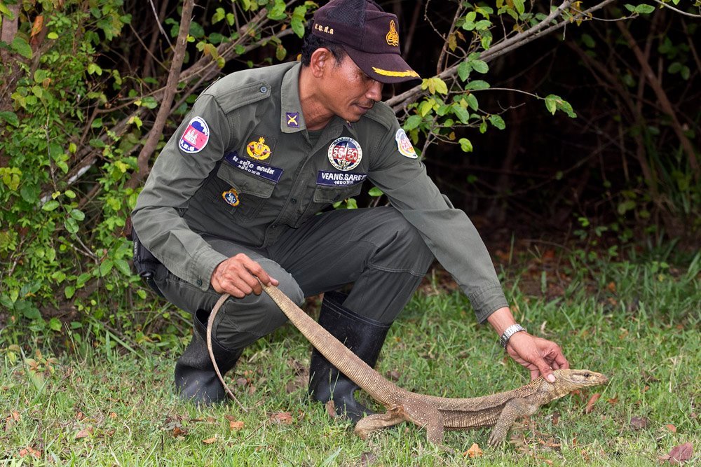 Help Stop Illegal Wildlife Trafficking