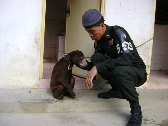 Help Stop Illegal Wildlife Trafficking - GlobalGiving