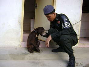 The WRRT Rescues a Young Sun Bear