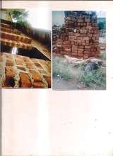 bricks