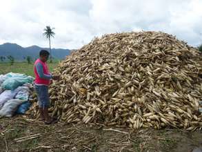 Important livelihood lost
