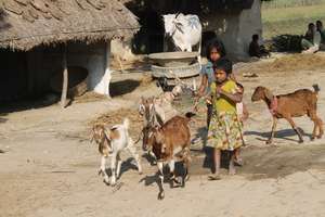 Life of a girl in rural villages of Nepal