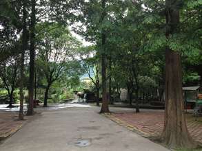 vocational college