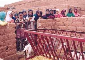 Education at the Core of Development