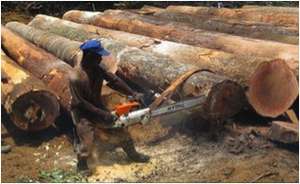 chainsawing.jpg
