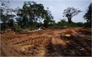 dug up earth.jpg