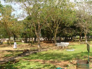 Educational Reforestation in War Torn Liberia