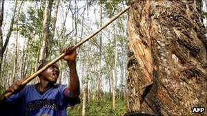 Rubber, a big business in Liberia