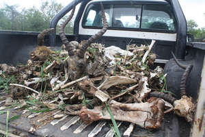 Our pick up truck filling up nicely!