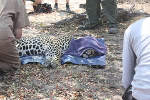 Shiloweni's face is covered for comfort