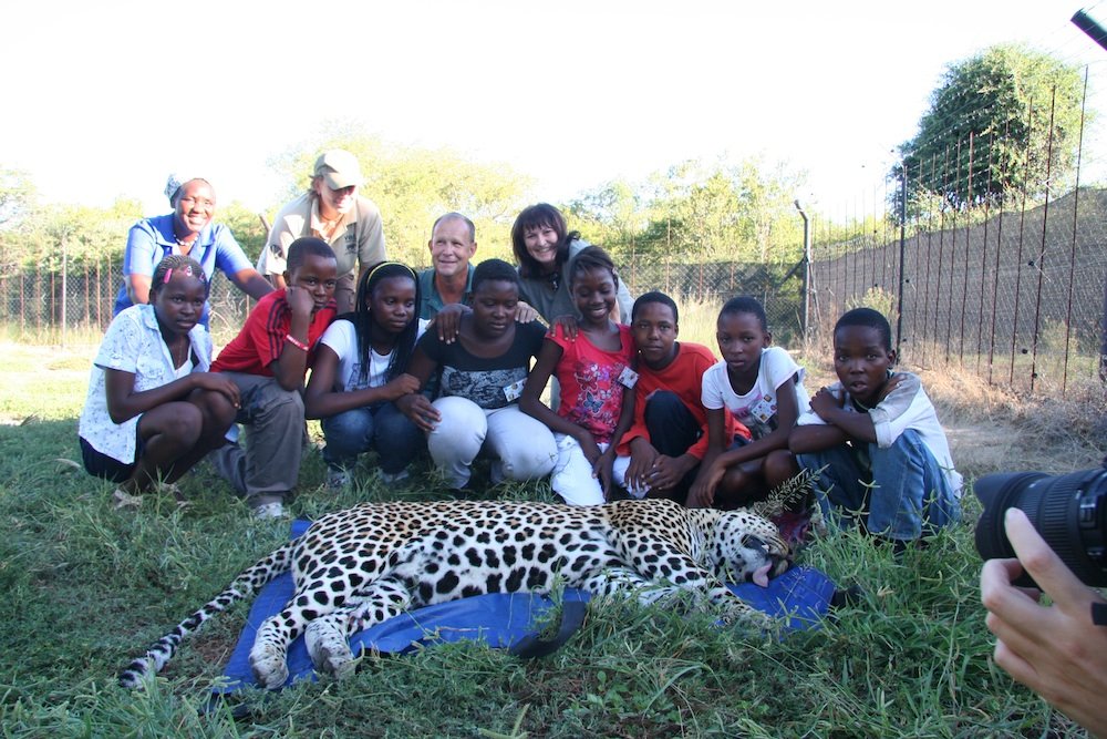 Provide food and care for our leopard for one year