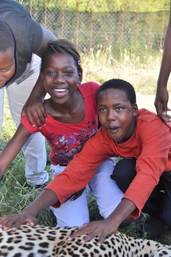 Provide food and care for our leopard for one year