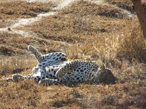 Shiloweni sunbathing