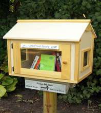 Mini library