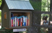 Public Mini-libraries