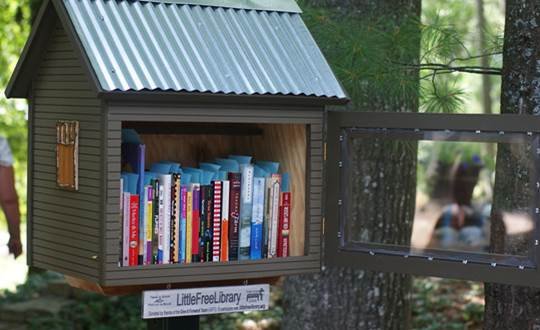 Public Mini-libraries