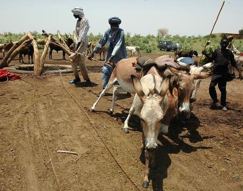Providing Access to Water for Families in Niger