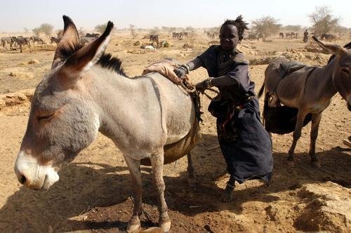 Providing Access to Water for Families in Niger