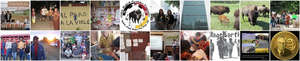 Mosaic of Village Earth's Affiliate Activities