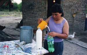 Bottling milk