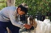 Support for goat farmers in Santiago del Estero