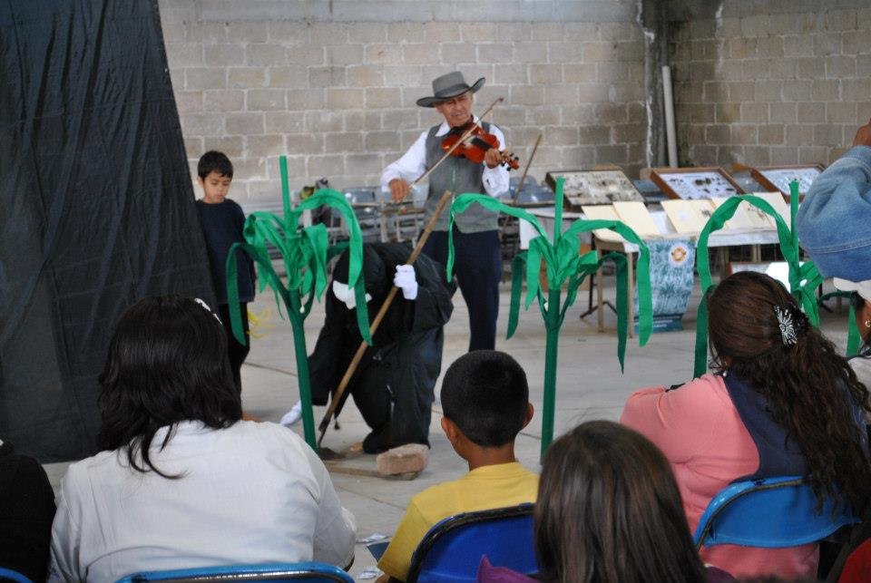 Bring Back Bees to Mexico's Degraded Farmlands