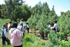 Reforestation area in Tlascala, Mexico