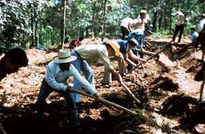 Campesinos digging a contour terrace