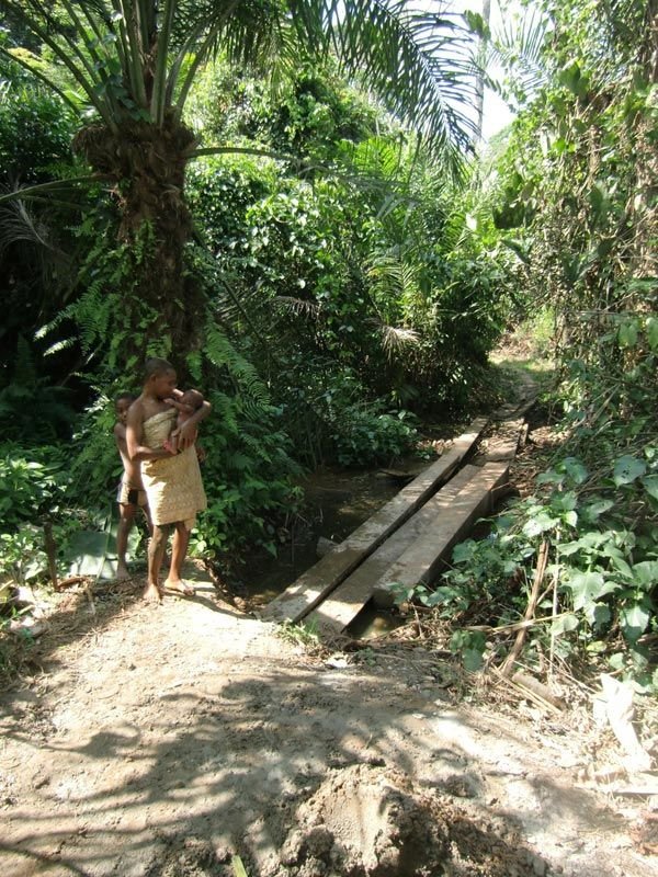 Improved access across the marsh