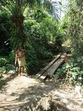 Improved access across the marsh