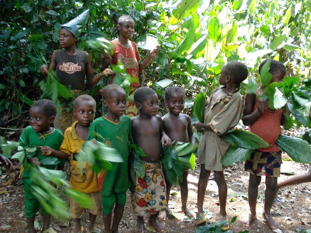 Improving the health of an indigenous Baka village