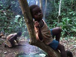 Sitting in a tree in the forest