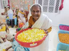 Holi Celebrations