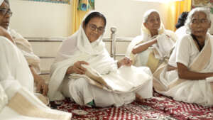 New sarees with Gold border for Janamashtami