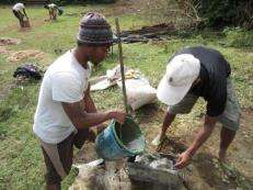 Working on the project