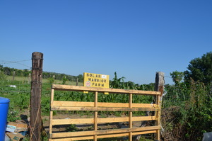 Solar Warrior Farm