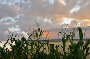 Sunset at Solar Warrior Farm