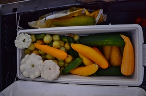 Bountiful harvests await