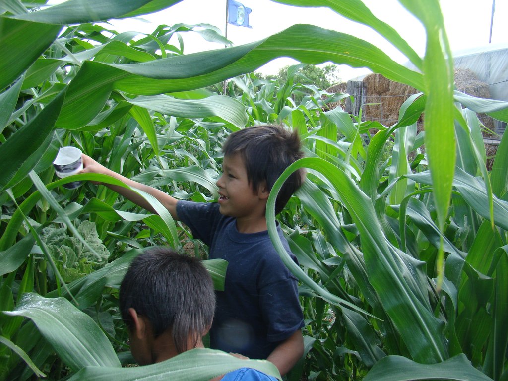 Support Organic Farming for Native Americans