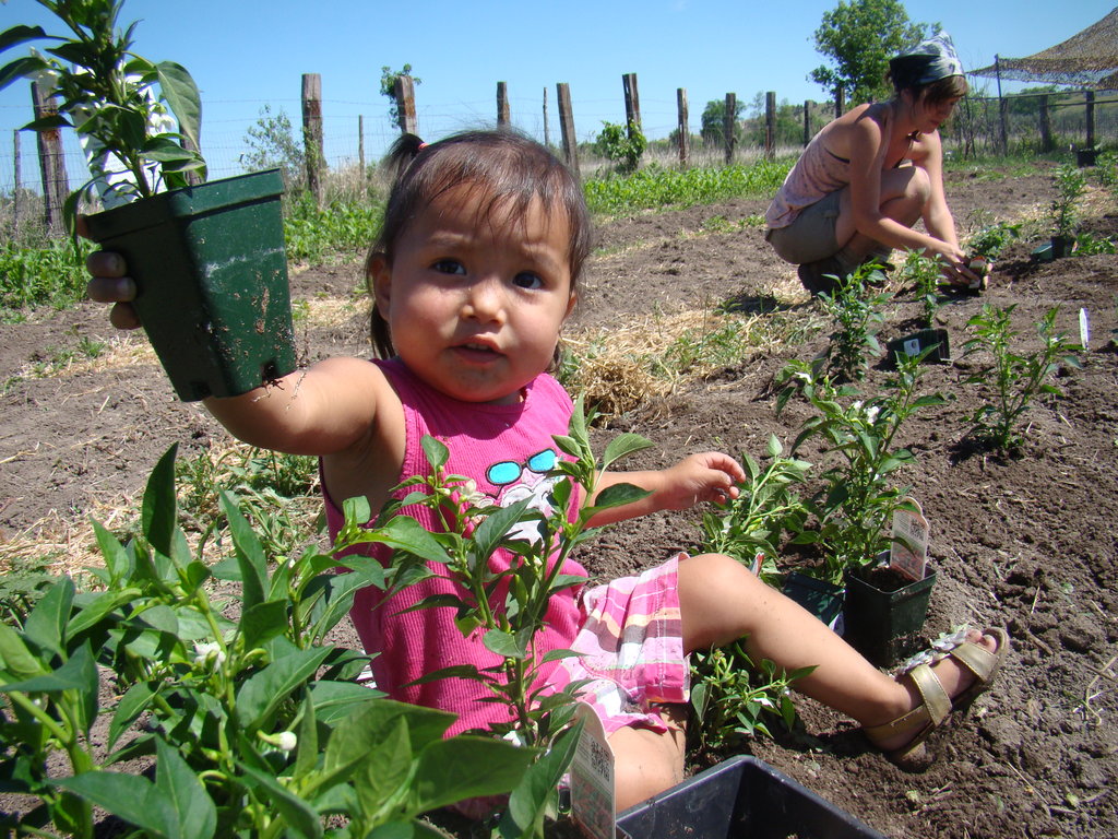 Support Organic Farming for Native Americans