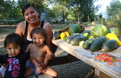 Support Organic Farming for Native Americans