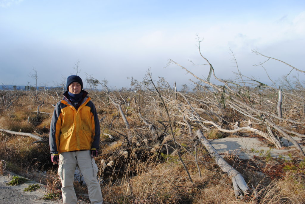 100% devastated Natori Coastal Forest