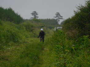 Professional forest worker maintaining the site.